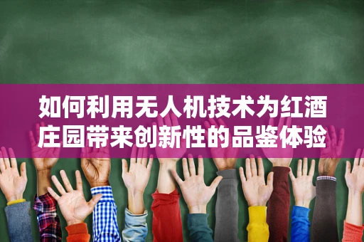 如何利用无人机技术为红酒庄园带来创新性的品鉴体验？
