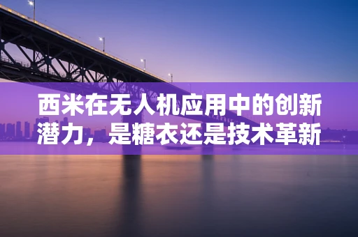 西米在无人机应用中的创新潜力，是糖衣还是技术革新？