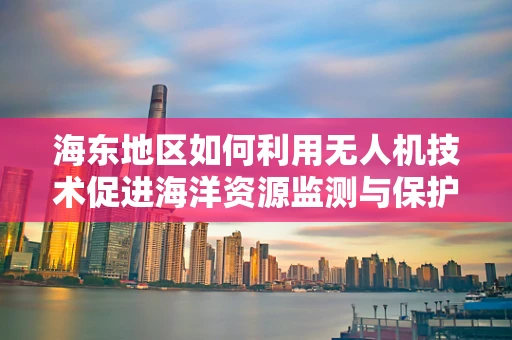 海东地区如何利用无人机技术促进海洋资源监测与保护？