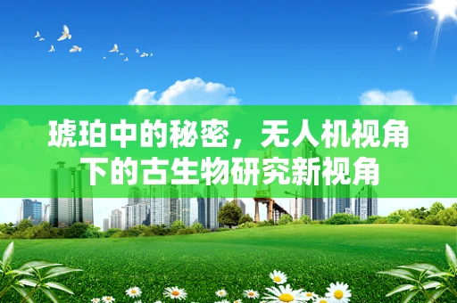 琥珀中的秘密，无人机视角下的古生物研究新视角