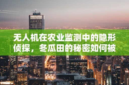 无人机在农业监测中的隐形侦探，冬瓜田的秘密如何被揭晓？