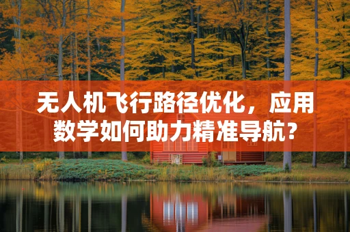 无人机飞行路径优化，应用数学如何助力精准导航？