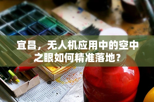 宜昌，无人机应用中的空中之眼如何精准落地？