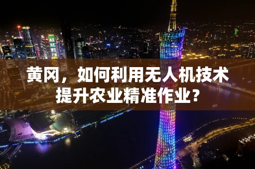 黄冈，如何利用无人机技术提升农业精准作业？