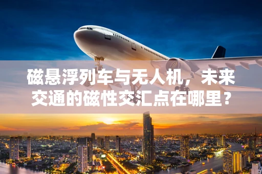磁悬浮列车与无人机，未来交通的磁性交汇点在哪里？