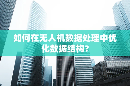 如何在无人机数据处理中优化数据结构？