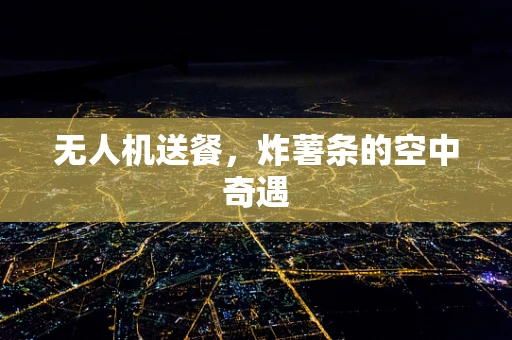 无人机送餐，炸薯条的空中奇遇