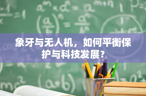 象牙与无人机，如何平衡保护与科技发展？