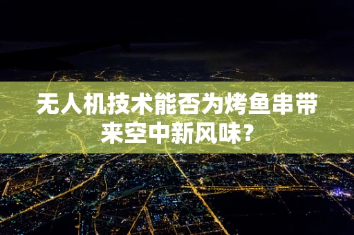 无人机技术能否为烤鱼串带来空中新风味？