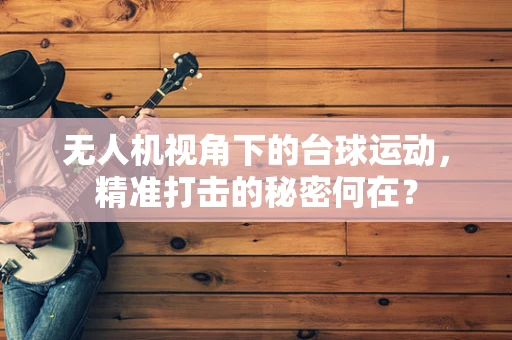 无人机视角下的台球运动，精准打击的秘密何在？