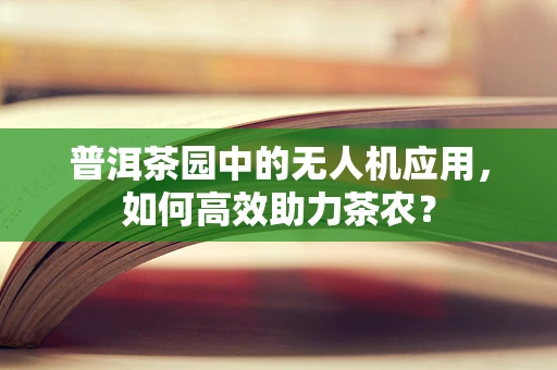 普洱茶园中的无人机应用，如何高效助力茶农？