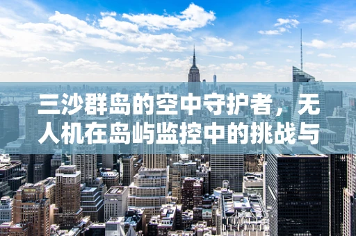 三沙群岛的空中守护者，无人机在岛屿监控中的挑战与机遇？
