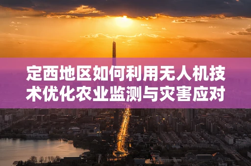 定西地区如何利用无人机技术优化农业监测与灾害应对？