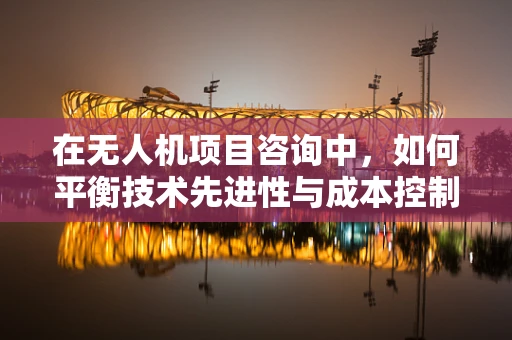 在无人机项目咨询中，如何平衡技术先进性与成本控制？
