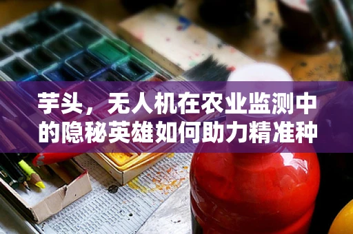 芋头，无人机在农业监测中的隐秘英雄如何助力精准种植？