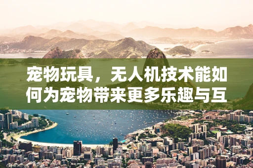 宠物玩具，无人机技术能如何为宠物带来更多乐趣与互动？