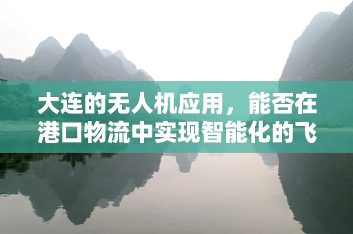 大连的无人机应用，能否在港口物流中实现智能化的飞跃？
