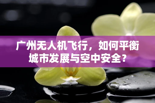 广州无人机飞行，如何平衡城市发展与空中安全？