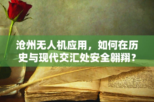 沧州无人机应用，如何在历史与现代交汇处安全翱翔？