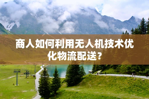 商人如何利用无人机技术优化物流配送？