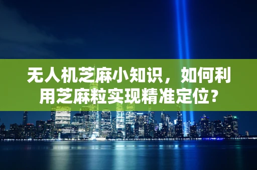 无人机芝麻小知识，如何利用芝麻粒实现精准定位？