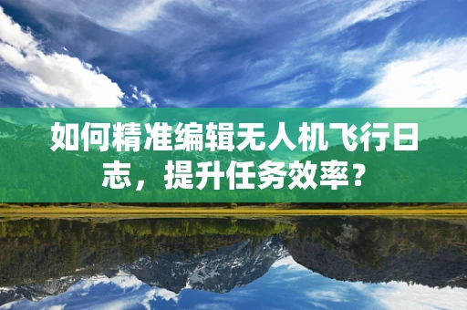 如何精准编辑无人机飞行日志，提升任务效率？