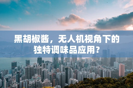 黑胡椒酱，无人机视角下的独特调味品应用？