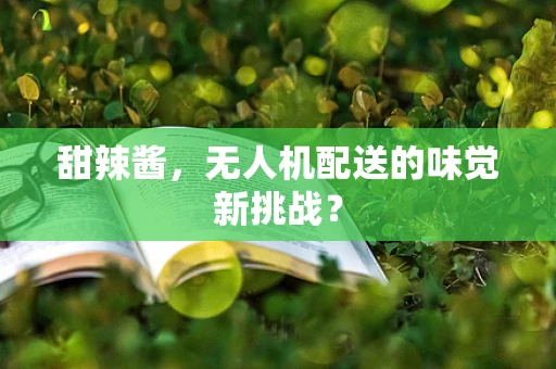 甜辣酱，无人机配送的味觉新挑战？