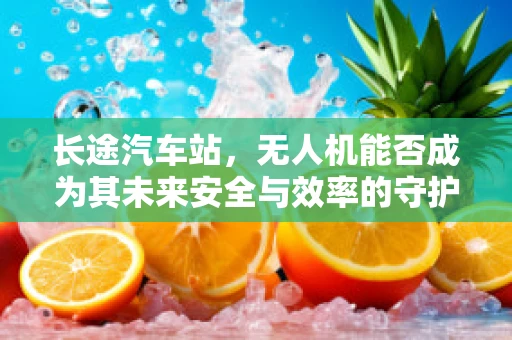长途汽车站，无人机能否成为其未来安全与效率的守护者？