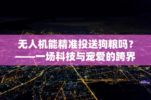 无人机能精准投送狗粮吗？——一场科技与宠爱的跨界实验