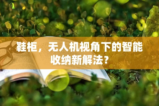 鞋柜，无人机视角下的智能收纳新解法？