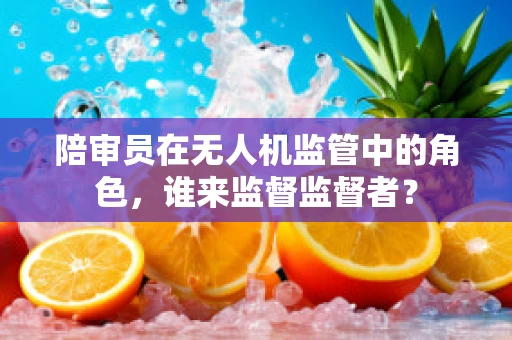 陪审员在无人机监管中的角色，谁来监督监督者？