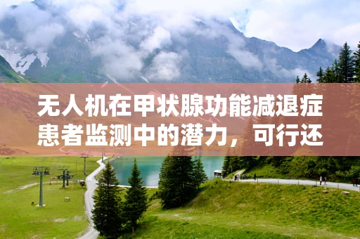 无人机在甲状腺功能减退症患者监测中的潜力，可行还是挑战？