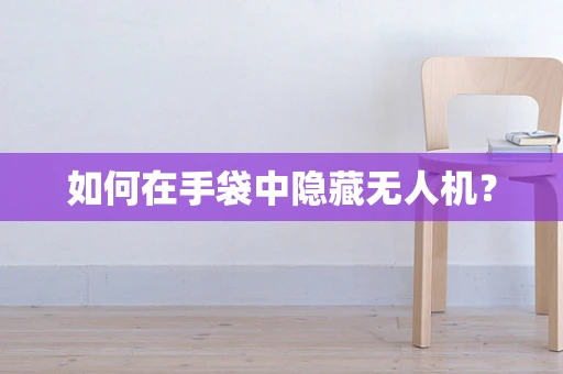 如何在手袋中隐藏无人机？