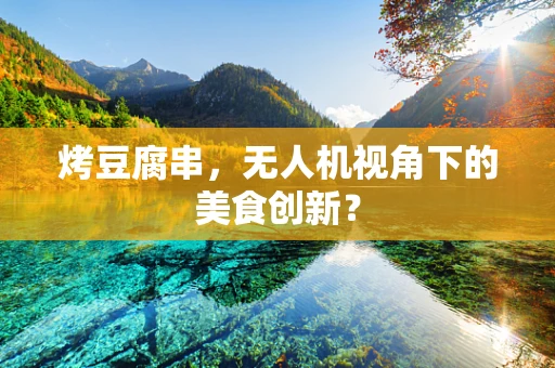 烤豆腐串，无人机视角下的美食创新？