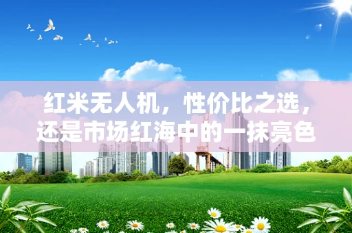 红米无人机，性价比之选，还是市场红海中的一抹亮色？