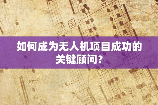 如何成为无人机项目成功的关键顾问？