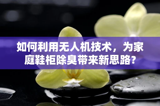 如何利用无人机技术，为家庭鞋柜除臭带来新思路？