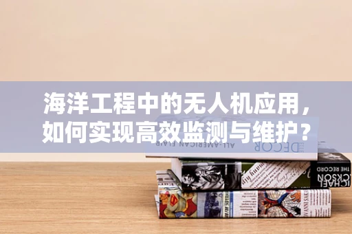 海洋工程中的无人机应用，如何实现高效监测与维护？