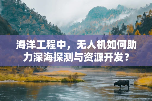 海洋工程中，无人机如何助力深海探测与资源开发？
