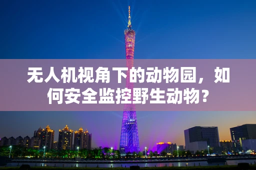 无人机视角下的动物园，如何安全监控野生动物？