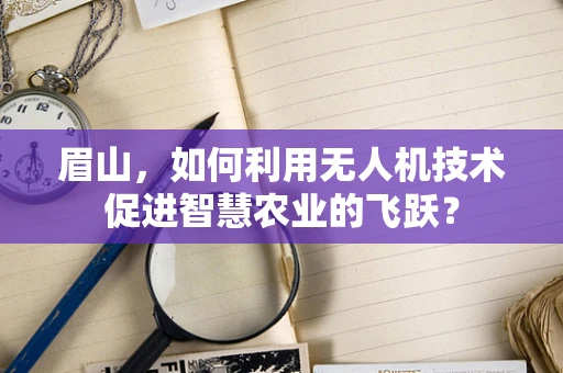 眉山，如何利用无人机技术促进智慧农业的飞跃？