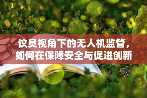 议员视角下的无人机监管，如何在保障安全与促进创新间找到平衡？