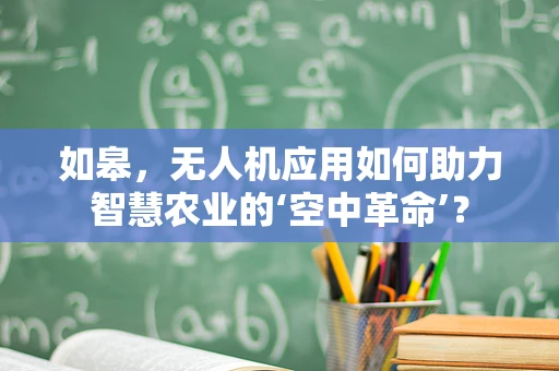 如皋，无人机应用如何助力智慧农业的‘空中革命’？