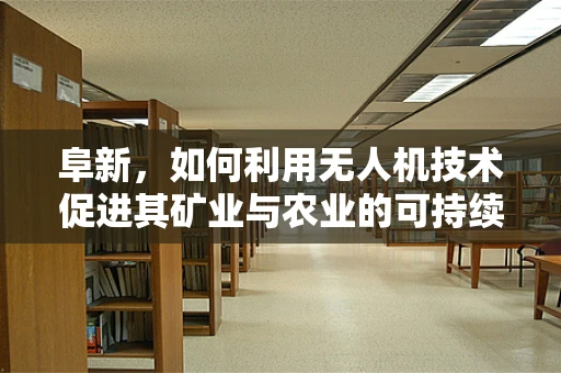阜新，如何利用无人机技术促进其矿业与农业的可持续发展？