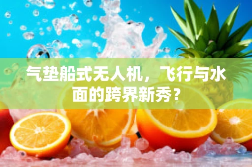 气垫船式无人机，飞行与水面的跨界新秀？