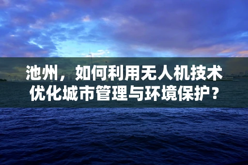 池州，如何利用无人机技术优化城市管理与环境保护？