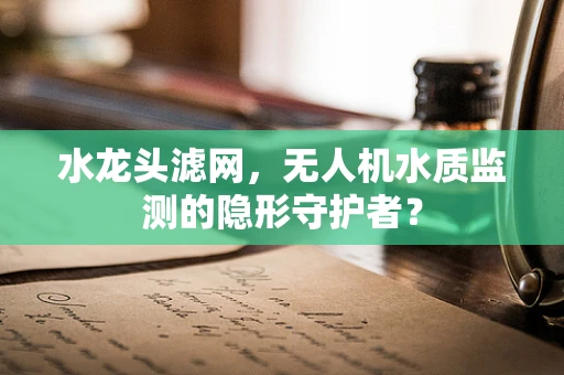 水龙头滤网，无人机水质监测的隐形守护者？