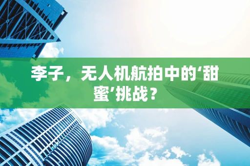 李子，无人机航拍中的‘甜蜜’挑战？