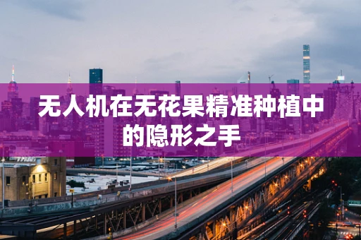 无人机在无花果精准种植中的隐形之手